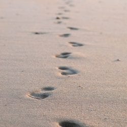 “Retracing Your Footsteps” Birth Time Finder